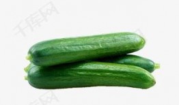 北美网红吃瓜视频大全下载,揭秘网络红人的幕后故事