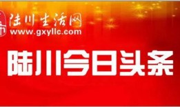 陆川头条最新爆料